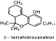 THC - Princípio Ativo da Maconha